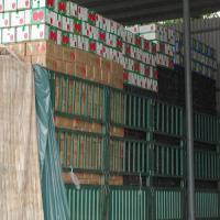 蔬菜收購(gòu)與邊貿(mào)出口 農(nóng)副產(chǎn)品加工的發(fā)展機(jī)遇