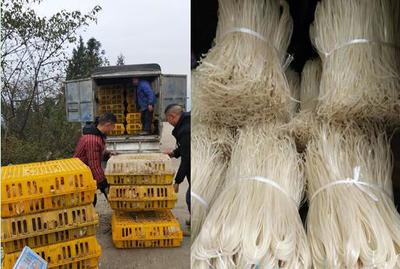 重慶中煙涪陵卷煙廠助銷(xiāo)蒲板村農(nóng)副產(chǎn)品，點(diǎn)亮鄉(xiāng)村振興之路