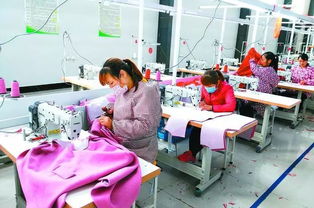 丹陽(yáng)聯(lián)村黨委實(shí)踐 圍繞主導(dǎo)產(chǎn)業(yè)發(fā)展集體經(jīng)濟(jì)，提升農(nóng)副產(chǎn)品競(jìng)爭(zhēng)力