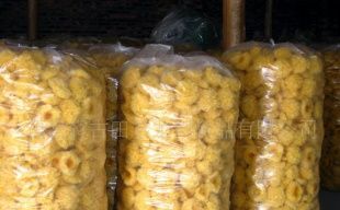 產地直銷，品質無憂 古田銀耳（白木耳）的農副產品魅力